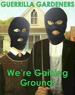 Gaining Ground
