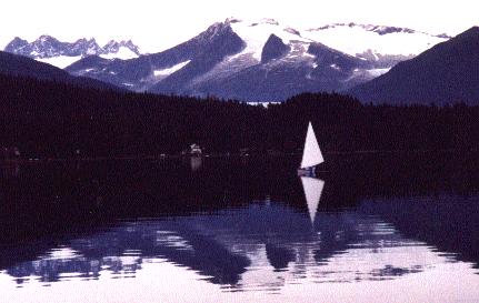 FORGET-ME-NOT on Auke Lake