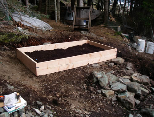 new raised bed