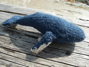 humpback whale