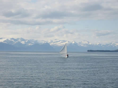 ROAN running toward shore, Berner's Bay
