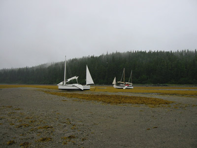 SELKIE and LUNA dried out
