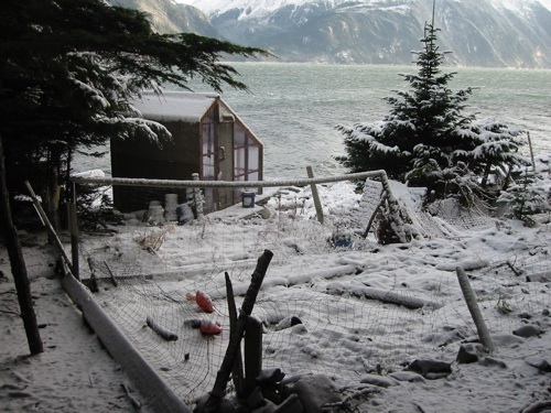 garden Dec. 2004