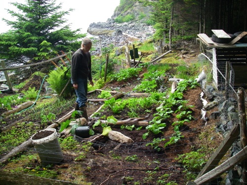 garden 2007