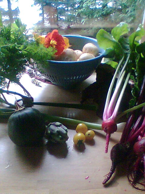 harvest 2008