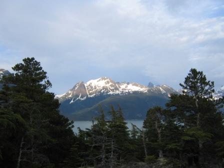View from the top of the property